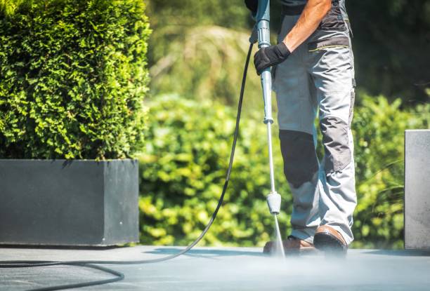 Best Patio and Deck Pressure Washing  in Despard, WV