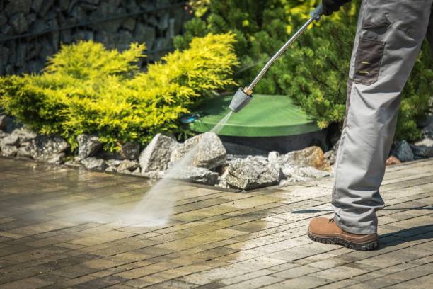  Despard, WV Pressure Washing Pros