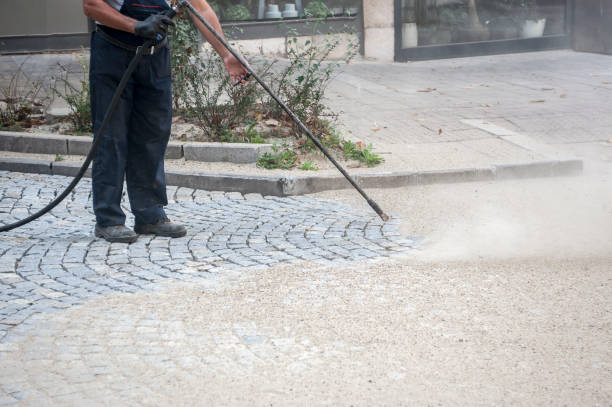 Best Dumpster Area Cleaning  in Despard, WV
