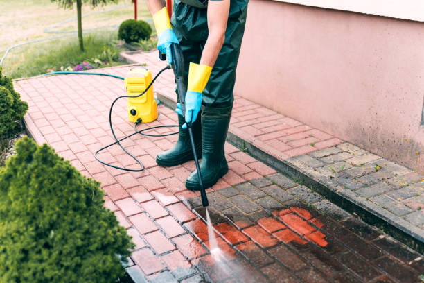 Best Restaurant Pressure Washing  in Despard, WV