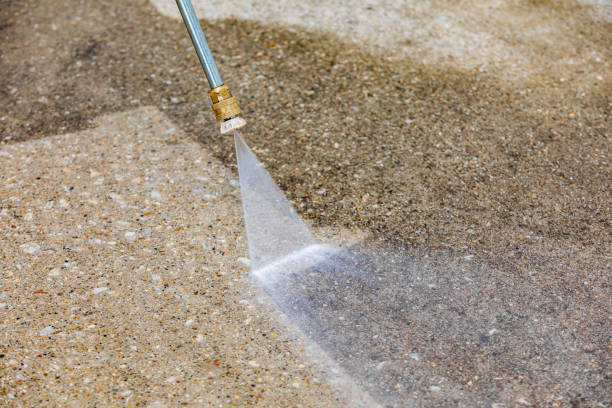 Best Animal Enclosure Cleaning  in Despard, WV