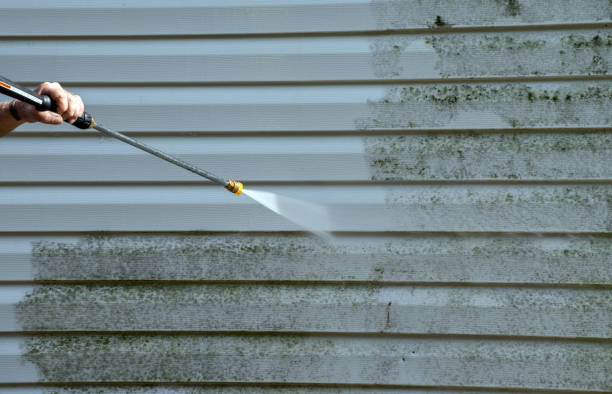 Professional  Pressure Washing Services in Despard, WV