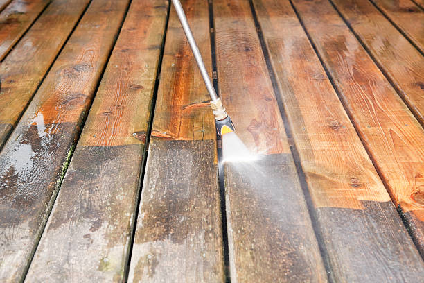 Best Spring Cleaning  in Despard, WV